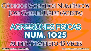 AGRESIONES FISICAS CODIGOS SAGRADOS 1025.