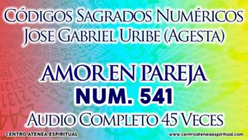 AMOR EN PAREJA CODIGOS SAGRADOS NUMERICO 541.