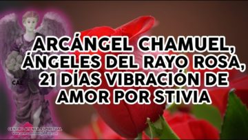 ARCANGEL CHAMUEL, ANGELES DE LA LLAMA ROSA, AMOR Y VIBRACION 21 DIAS POR STIVIA.