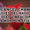 ARCANGEL CHAMUEL, ANGELES DE LA LLAMA ROSA, AMOR Y VIBRACION 21 DIAS POR STIVIA.