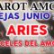 ARIES AMOR JUNIO 2019, TAROT AMOR, PAREJAS, ANGELES DEL AMOR ?✨ ♥ ♈