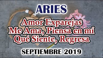 ARIES AMOR, QUE PASA, ME AMA, PIENSA, ÁNGELES AMOR, PREDICCIONES ARIES.