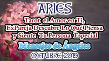 ARIES AMOR, QUE PASA, SIENTE TU EX, MENSAJES DE ÁNGELES, HORÓSCOPO ARIES.