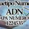 ARQUETIPO NUMERICO 12 CAPAS ADN CAPA: 8 NUM. 12 24 53 5. CANALIZADO POR MAESTRA STIVIA.