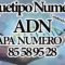 ARQUETIPOS NUMERICOS 12 CAPAS ADN CAPA: 12  NUM. 85 58 95 28. CANALIZADO POR MAESTRA STIVIA.