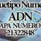 ARQUETIPOS NUMERICOS  12 CAPAS DEL ADN, CAPA 5 NUM. 21 32 28 48. CANALIZADO POR MAESTRA STIVIA.