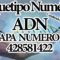 ARQUETIPOS NUMERICOS 12 CAPAS DEL ADN, CAPA 4 NUM. 28 58 14 22. CANALIZADO POR MAESTRA STIVIA.