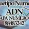 ARQUETIPOS NUMERICOS 12 CAPAS DEL ADN, CAPA: 7 NUM. 88 48 32 42. CANALIZADO POR MAESTRA STIVIA.