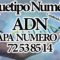 ARQUETIPOS NUMERICOS 12 CAPAS DEL  ADN CAPA: 10 NUM. 72 53 85 14. CANALIZADO POR MAESTRA STIVIA.