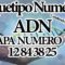 ARQUETIPOS NUMERICOS 12 DOCE CAPAS DEL ADN CAPA 11. NUM. 12 84 38 25. CANALIZADO POR MAESTRA STIVIA.