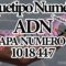 ARQUETIPOS NUMERICOS SAGRADOS SEMANA UNO ADN, MEDITACION 10 18 44 7 CANALIZADO POR MAESTRA STIVIA.