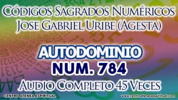 AUTODOMINIO CODIGOS SAGRADOS 784.