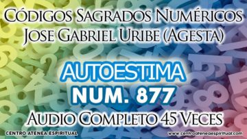 AUTOESTIMA CODIGOS SAGRADOS NUMERICO 877.