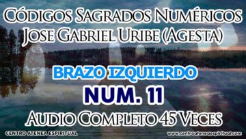 BRAZO IZQUIERDO, CÓDIGOS SAGRADOS NUMÉRICOS, 11.