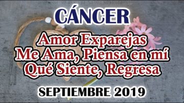 CÁNCER AMOR, QUE PASA, ME AMA, PIENSA, ÁNGELES AMOR, PREDICCIONES CÁNCER.