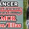 CÁNCER JULIO 2019, PAREJAS, EX PAREJAS, PREDICCIONES JULIO 2019, GUÍA ANGELICAL, TAROT AMOR.