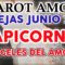 CAPICORNIO AMOR JUNIO 2019, TAROT AMOR, PAREJAS, ANGELES DEL AMOR ?✨ ♥ ♑