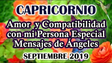 CAPRICORNIO AMOR, COMPATIBILIDAD CON MI PERSONA ESPECIAL, MENSAJES ÁNGELES, HORÓSCOPO CAPRICORNIO.