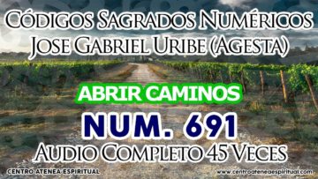 CODIGO SAGRADO ABRIR CAMINOS, 691.