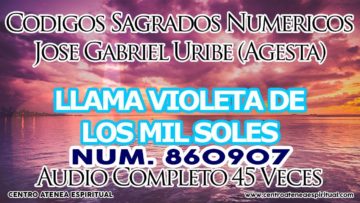 CODIGOS NUMERICOS SAGRADOS LLAMA VIOLETA DE MIL SOLES 860907.