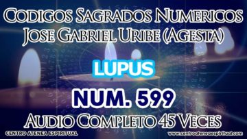 CODIGOS NUMERICOS SAGRADOS LUPUS 599.