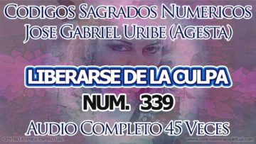 CODIGOS SAGRADOS NUMERICOS CULPA LIBERARSE 339.