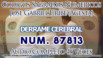 CODIGOS SAGRADOS NUMERICOS DERRAME CEREBRAL 87813.