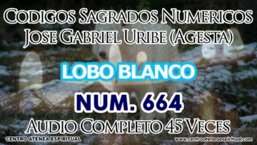 CODIGOS SAGRADOS NUMERICOS LOBO BLANCO CODIGOS NUMERICOS SAGRADOS 664.