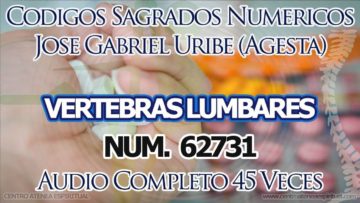 CODIGOS SAGRADOS NUMERICOS VERTEBRAS LUMBARES 62731.