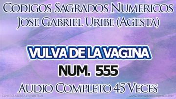 CODIGOS SAGRADOS VULVA DE LA VAGINA 555.