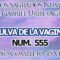 CODIGOS SAGRADOS VULVA DE LA VAGINA 555.