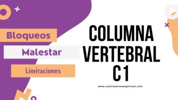 COLUMNA VERTEBRAL C1, BLOQUEOS, LIMITACIONES, EMOCIONES QUE AFECTAN AL CUERPO, VERTEBRAS CERVICALES.