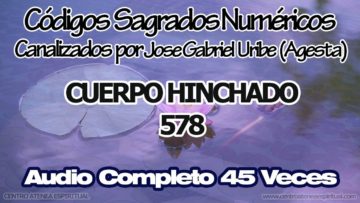 CUERPO HINCHADO, CÓDIGOS SAGRADOS NUMÉRICOS, 578.