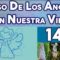 CURSO ANGELES 142, ÁNGELES Y ESPÍRITUS DE NATURALEZA.