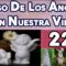 CURSO ÁNGELES 226, ÁNGEL DE VERDAD ILUMINACIÓN.