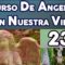 CURSO ANGELES 237, ÁNGEL DE PALABRA CREATIVA.