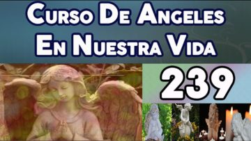 CURSO ÁNGELES 239, HISTORIA DE ADÁN.