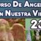 CURSO ÁNGELES 239, HISTORIA DE ADÁN.