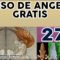 CURSO ANGELES 275, ORACION  DEL ÁNGEL DEL AGUA.