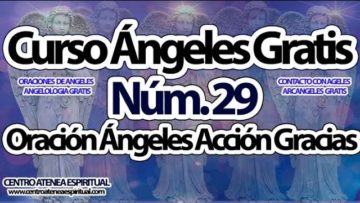 CURSO ANGELES 29.