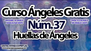 CURSO ANGELES 37.