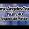 CURSO ANGELES 40.