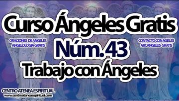 CURSO ANGELES 43.