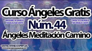 CURSO ANGELES 44.