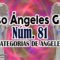 CURSO ANGELES 81, ANGELES BUEN HUMOR CATEGORIAS.