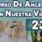 CURSO DE ANGELES 233, BELLEZA Y SALUD.