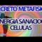 Decreto Metafísico Conny Mendez Sanación Energética Celúlas.