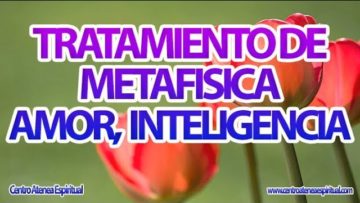 DECRETOS DE METAFISICA FALTA DE INTELIGENCIA Y AMOR.