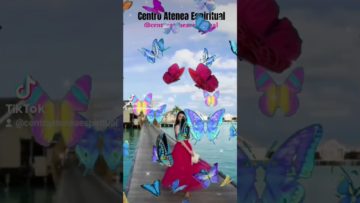 Disfruta el momento, Mariposas, Efectos, Filtros CapCut Tiktok.