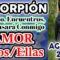 ESCORPION AGOSTO 2019, EX PAREJAS, PAREJAS, TAROT AMOR, ÁNGELES AMOR, PREDICCIONES.